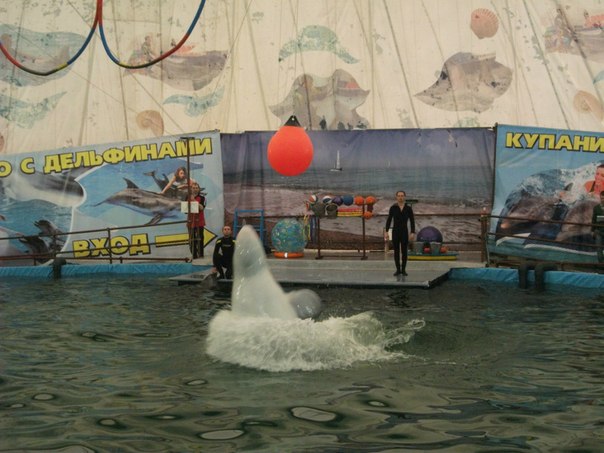 №14, Ольга Савчик №14, Ольга Савчик