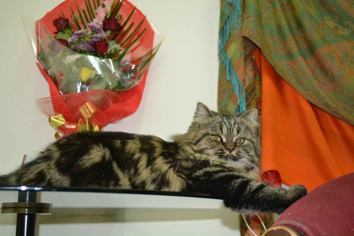 Мария Черепович | Минск