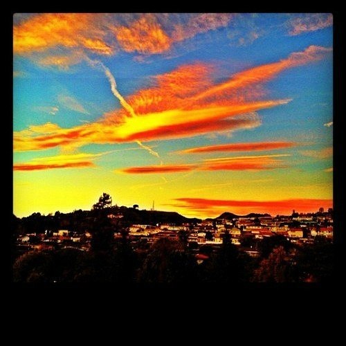 Justin Bieber Drew | Los Angeles