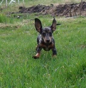Ion Ceban ~Ванёк~ | Санкт-Петербург