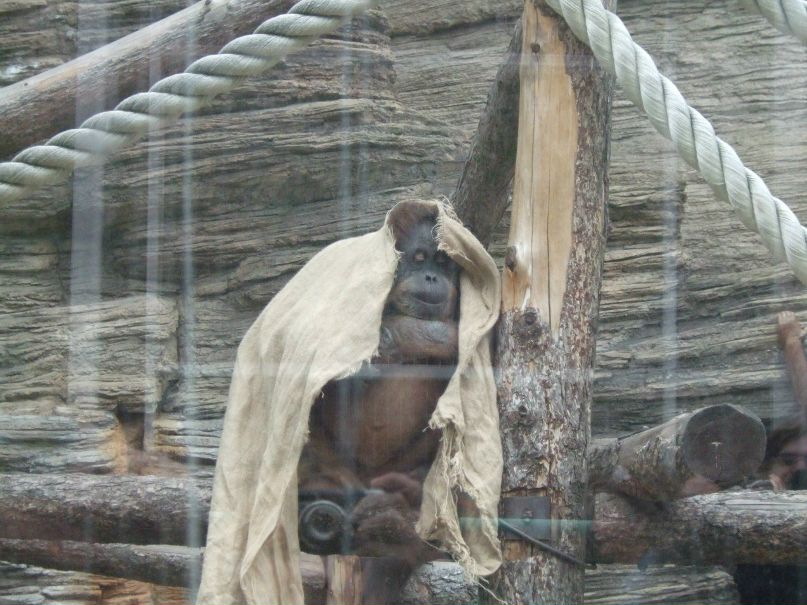 Елена Шляпникова | Пермь