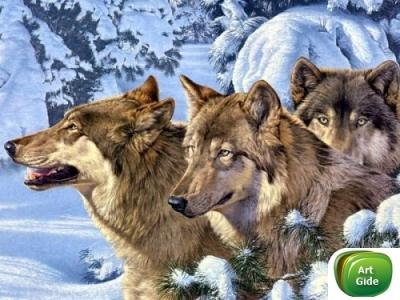 №80, Даниил Симоненко, Сочи, Россия №80, Даниил Симоненко, Сочи, Россия