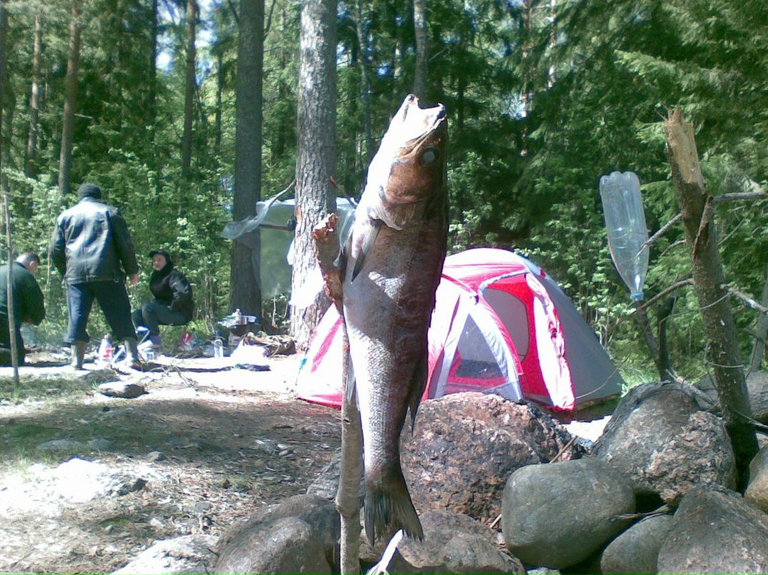 Юрий Мамонтов | Санкт-Петербург