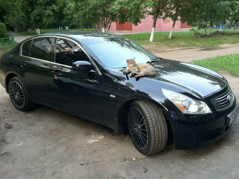 №32, Эмин Мусеибов №32, Эмин Мусеибов