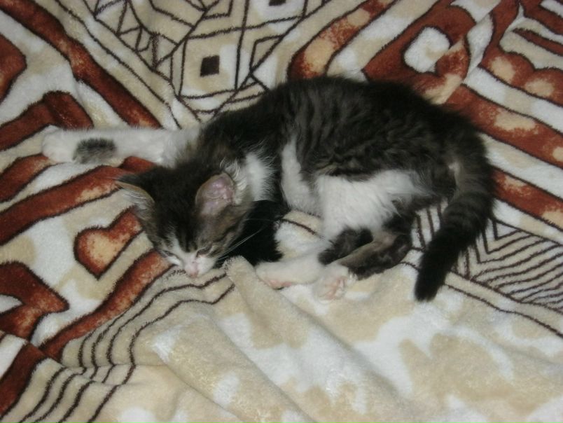 №34, Андрей Павлюк, Николаев №34, Андрей Павлюк, Николаев