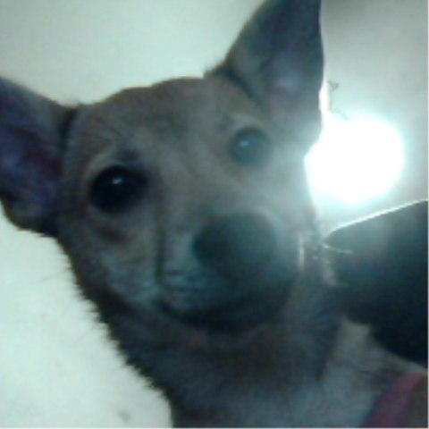 Делф-Неищите Контакте Меня@В | Днепр (Днепропетровск)