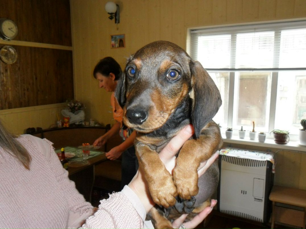 Анна Ищенко | Херсон