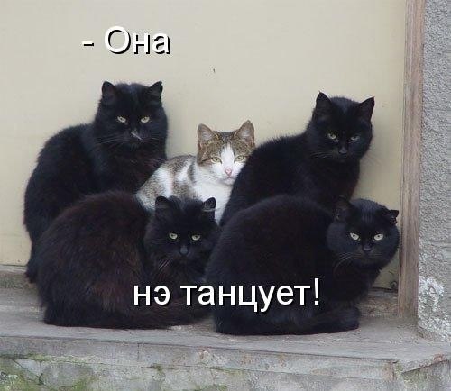 Михаил Новожилов | Апатиты