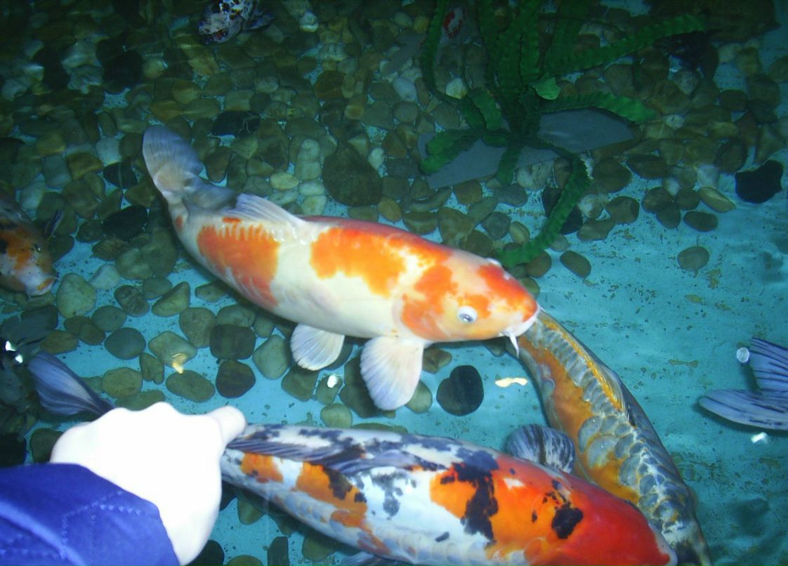 Сергей Пономарев ˙·٠✈ | Новосибирск