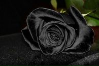 №7 Ксения Кирилина 28.01.1992: профиль, фото, статус - ВКонтакте №7 Ксения Кирилина 28.01.1992: профиль, фото, статус - ВКонтакте