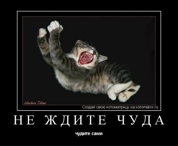 №74, Илья Быдин, Люберцы №74, Илья Быдин, Люберцы