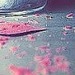 Сергей Питерский фотография #24 (источник - https://vk.com/id105742648)