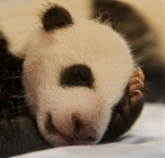 Иван Хватов | Москва