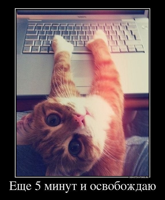 Александр Александров | Sydney