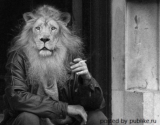 Лёха Смертов Ультрамариновый ебозаврик | Липецк