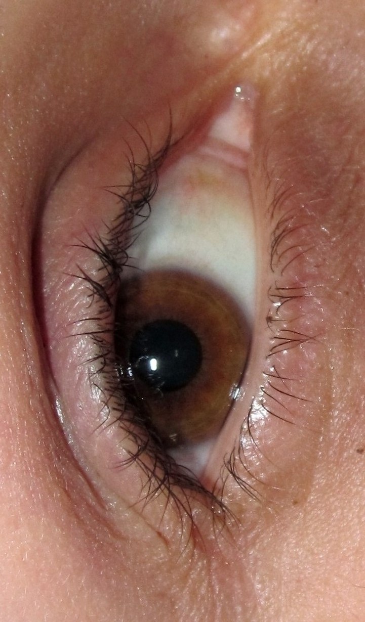 Витаха Ильинков √ιק | Кривой Рог