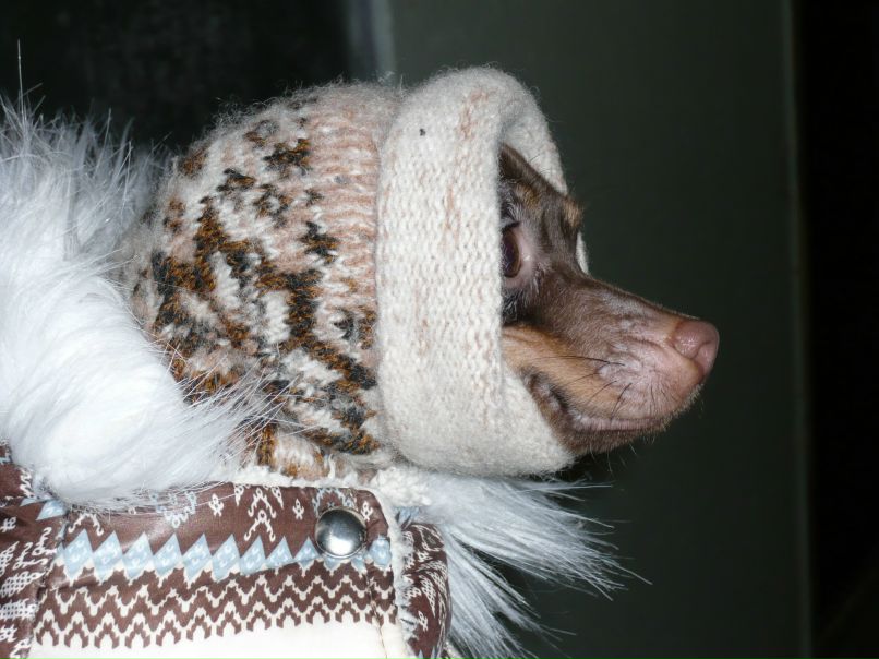 Елена Третьякова | Москва