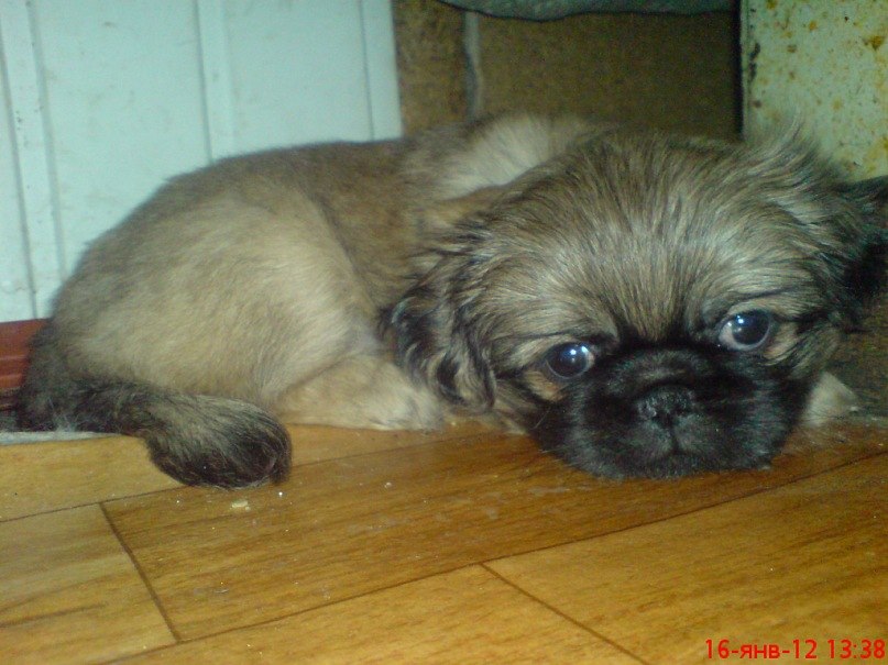 Анна Береговая | Барабинск