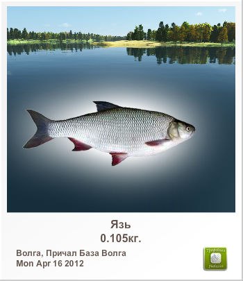 Александр Скрипкарь | Бабаево