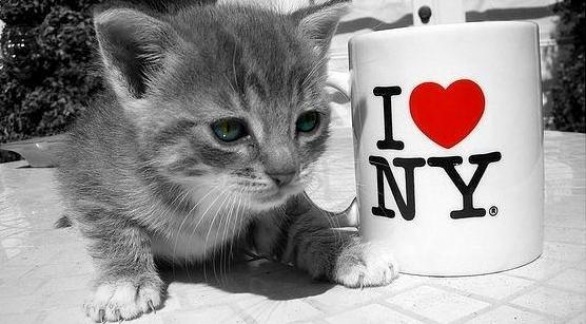 №120, Вадик Рылов №120, Вадик Рылов