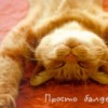 Аватар: Света Фролова