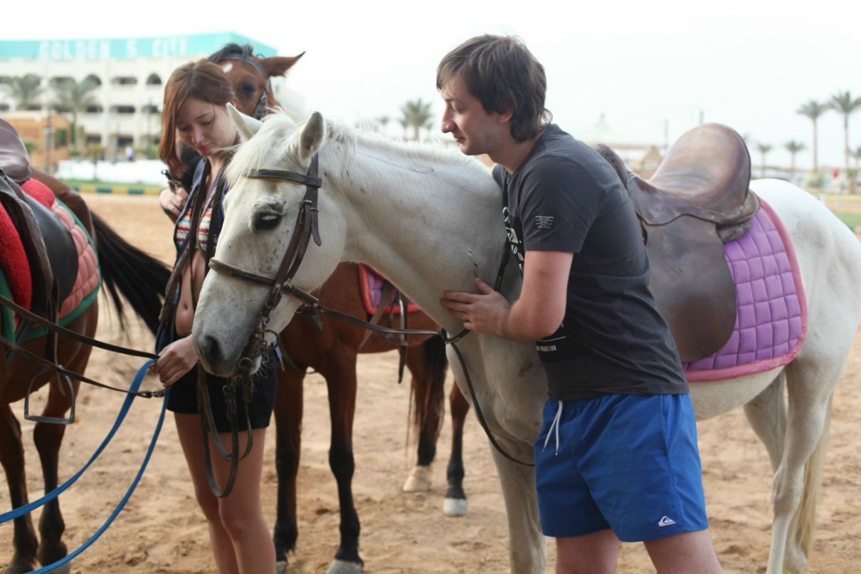 Paradisial Birdie ღ | 