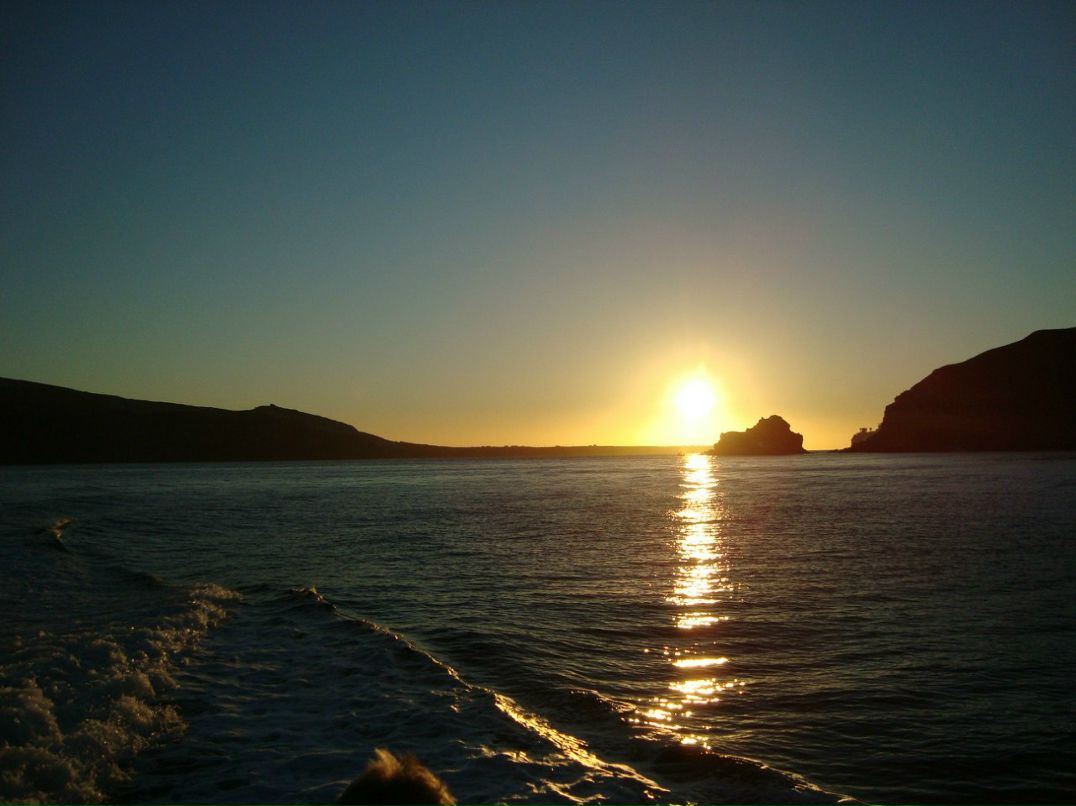 Алёна Воробьёва | Одесса