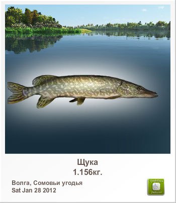 Наиля Ибрагимова ринатовна | Альметьевск