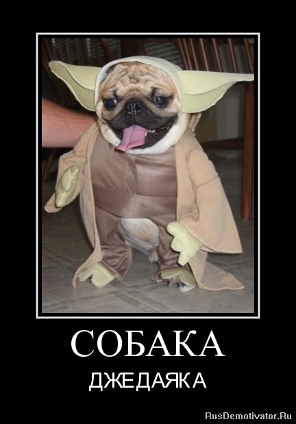 Андрей Лефутуренко | Киев