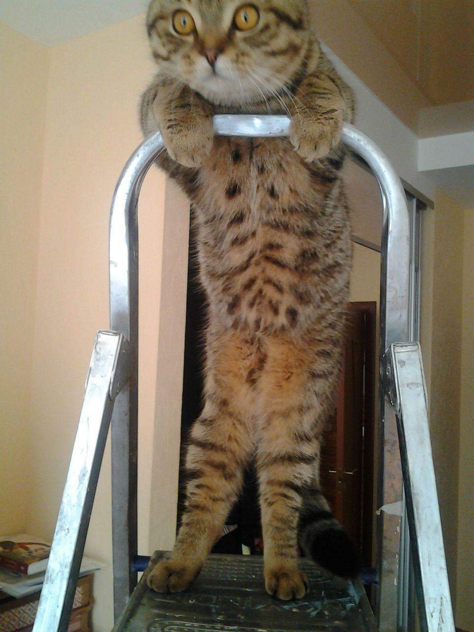 Александр Одолеев Георгиевич | Волгоград