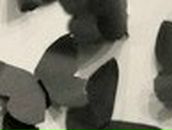 Оксана Елизарова | Воткинск