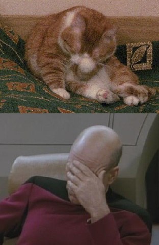 Аня Кондакова | Санкт-Петербург