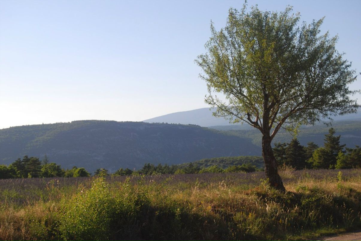 Оля Панина | Москва