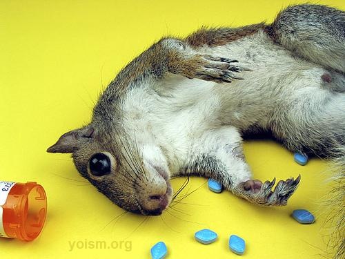 №142, Polly Cherkashyna, Киев №142, Polly Cherkashyna, Киев