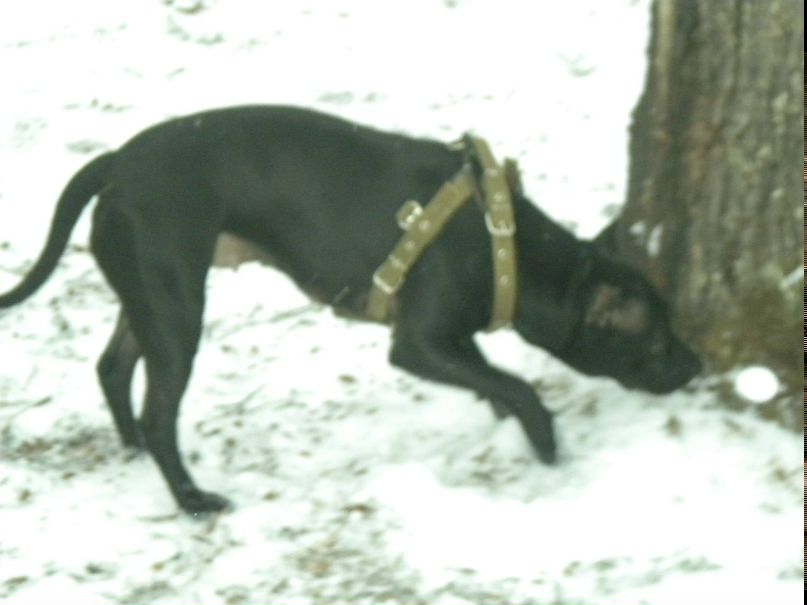 Стас Сливка | Ужгород