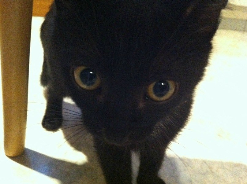 Аня Разумовская | 