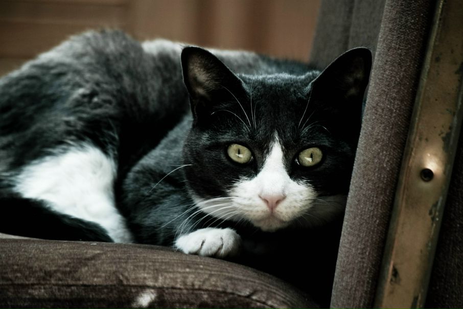 №22, Lev Soroka, 36 лет, Ивано-Франковск-16 №22, Lev Soroka, 36 лет, Ивано-Франковск-16