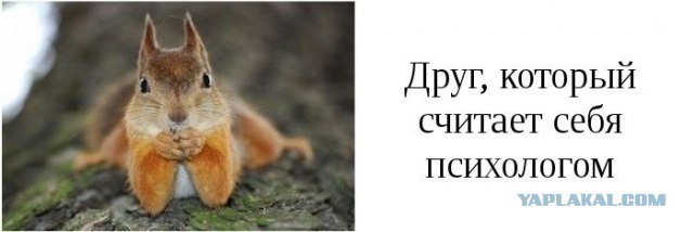 Роман Попов | Волгоград