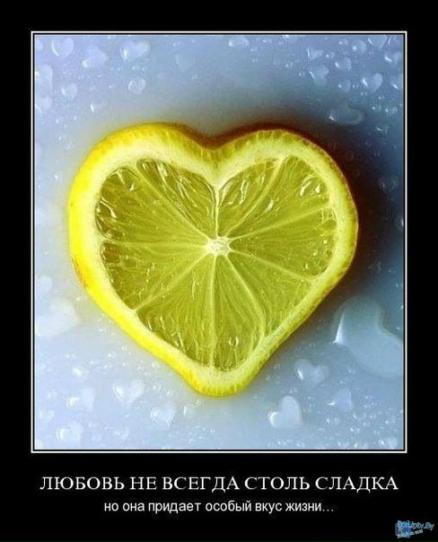 №26, Андрей Церлюк, 3.3 №26, Андрей Церлюк, 3.3