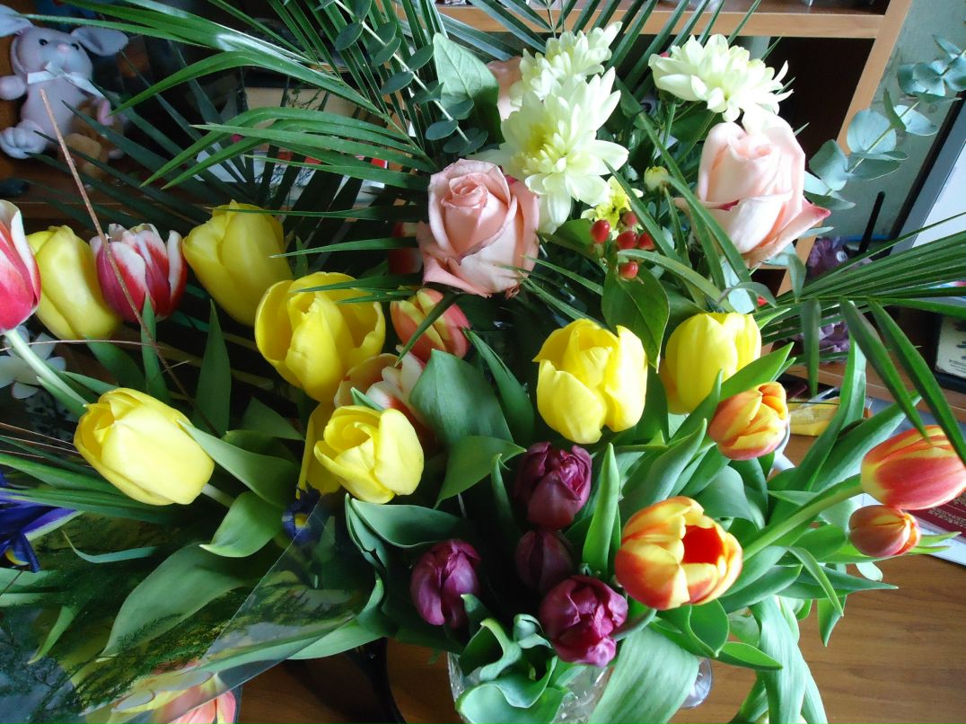 Катюша Басманова АпельсинКа | Санкт-Петербург