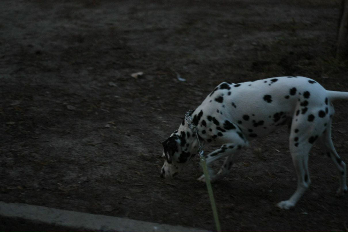 Славик Аджигитов | Москва