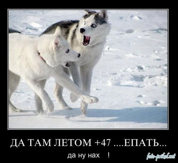 №77, Макс Пешков, 40 лет, Киев №77, Макс Пешков, 40 лет, Киев