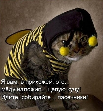 Мария Моисейчева | Киев