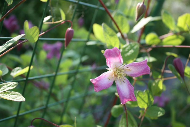 Екатерина Усанова Георгиевна | Москва