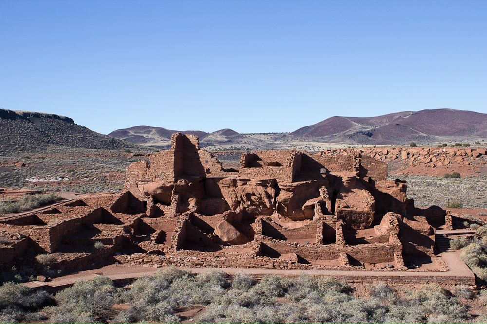 Илья Альбрехт | Phoenix