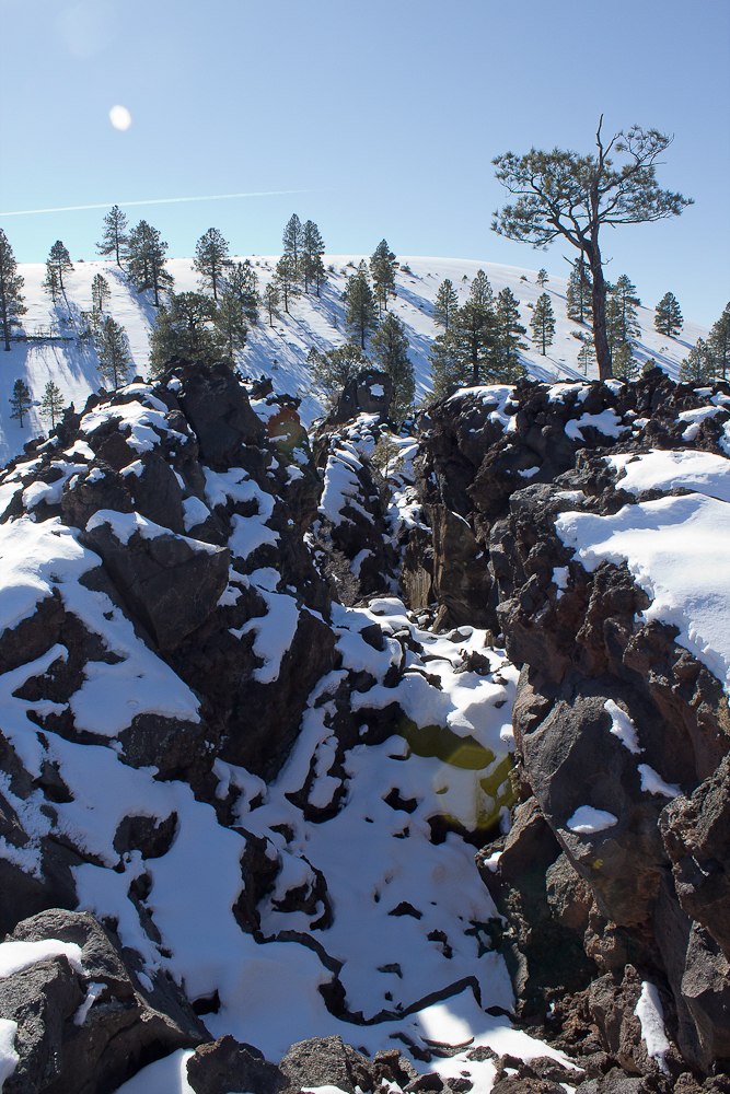 Илья Альбрехт | Phoenix