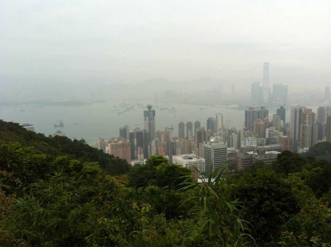 Оксана Драгун | 