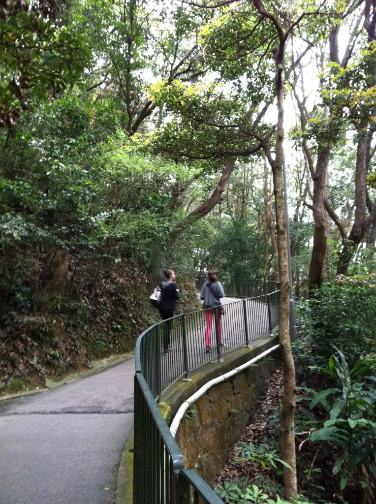 Оксана Драгун | 