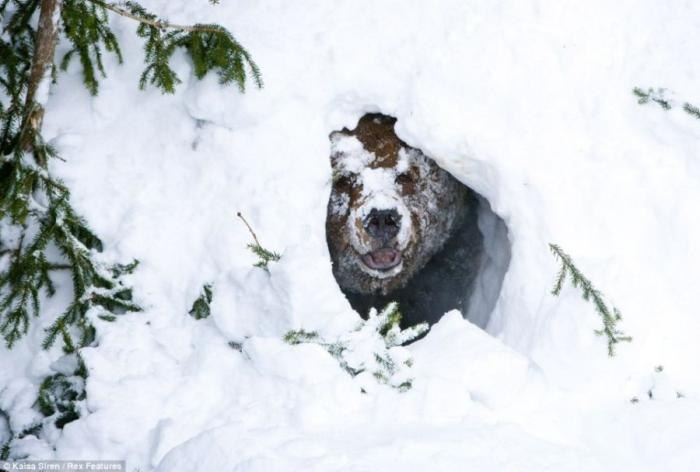 Яна Левитан | Москва