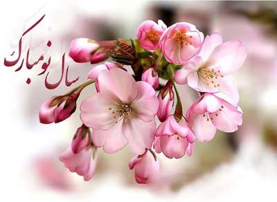№14, Alireza Samani, 46 лет, Харьков №14, Alireza Samani, 46 лет, Харьков
